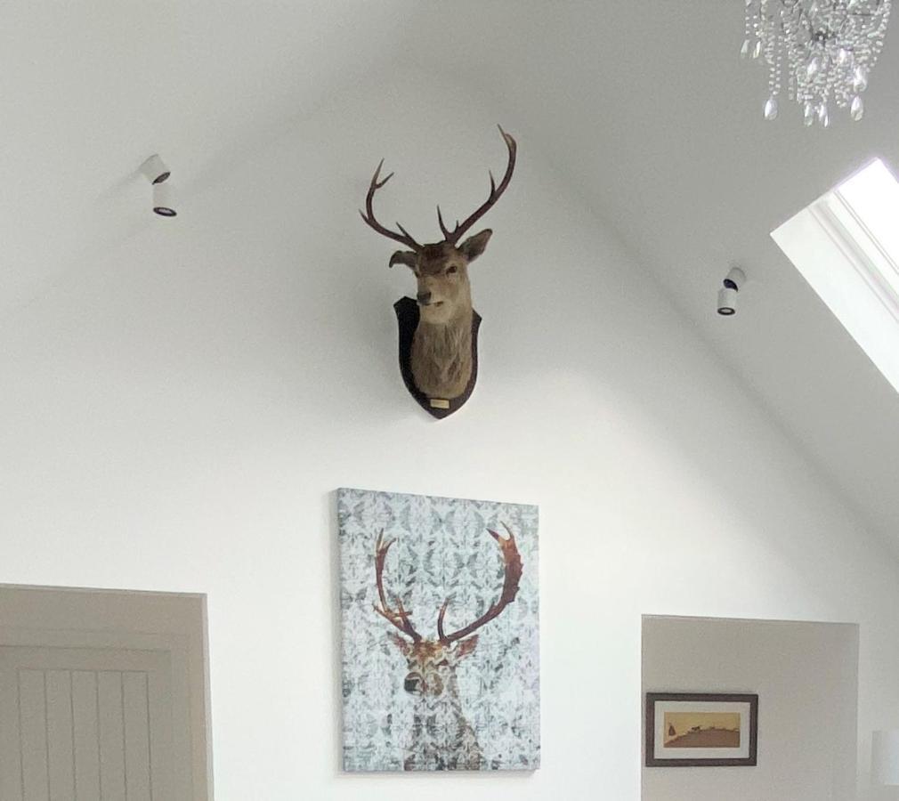 Ben Nevis Scotland Highlands, Camden House Luxury Home Fort William Eksteriør bilde